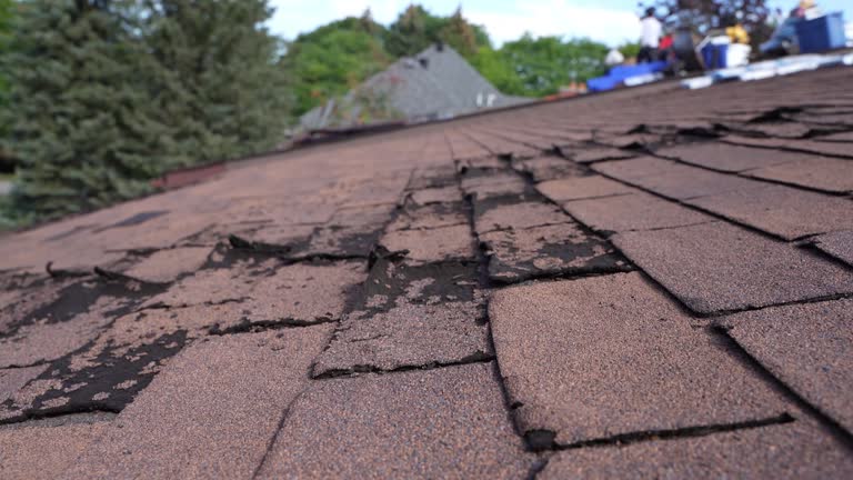 Best Slate Roofing  in Bluefield, VA